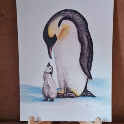 Poster Pinguine