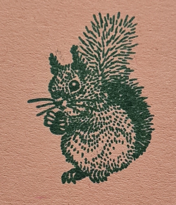 Stempel-Eichhörnchen