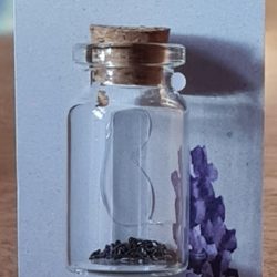 Lavendelsamen im Glas