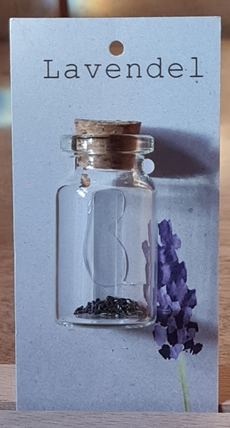Lavendelsamen im Glas