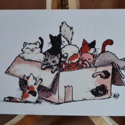 Kiste voll Katzen