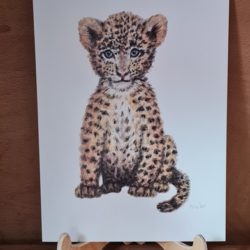 Poster Leopard
