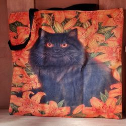 Cat-Bag