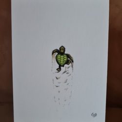 Schildkröte-Karte